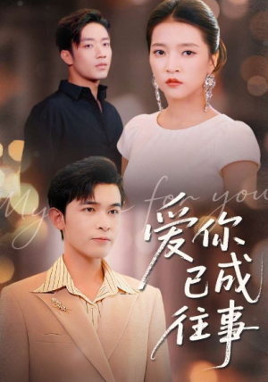 爱你已成往事（80集）