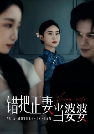 错把正妻当婆婆（46集）
