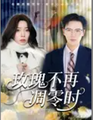 玫瑰不再凋零时（73集）