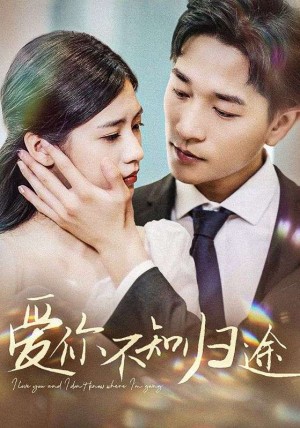 爱你不知归途(爱你漫漫长路)(42集)