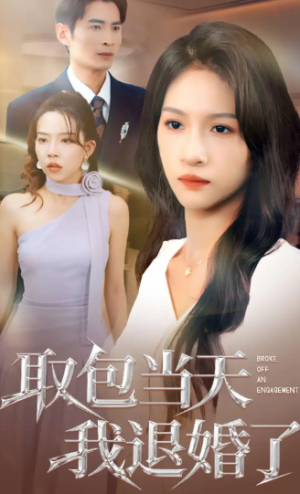 取包当天我退婚了（62集）