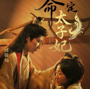 命定太子妃（63集）