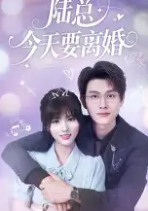 陆总今天要离婚（81集）