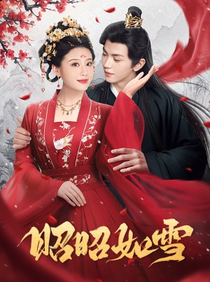 昭昭如雪（60集）