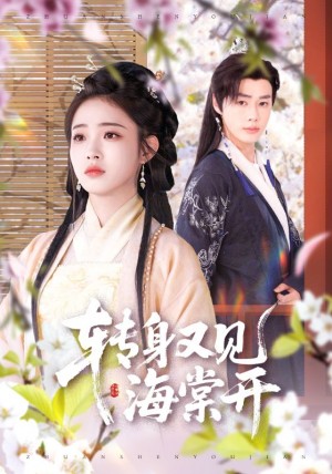 转身又见海棠开（79集）
