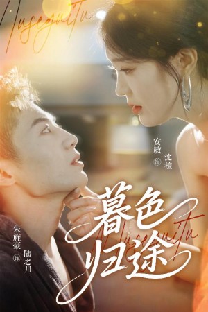 暮色归途（50集）