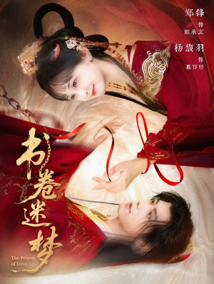 书卷迷梦（66集）