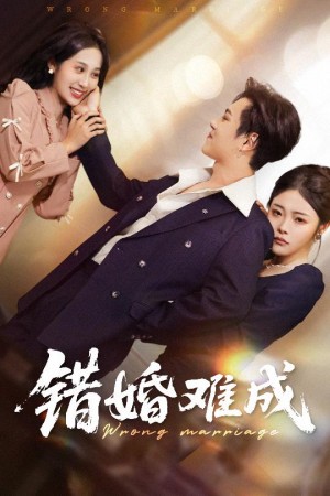 错婚难成（45集）