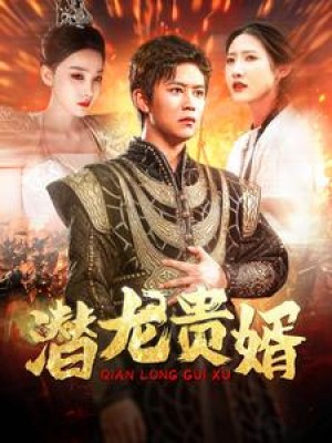 潜龙贵婿（89集）