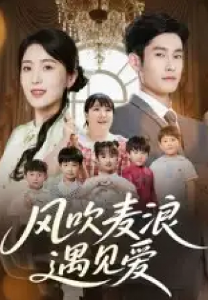 风吹麦浪遇见爱(70集)