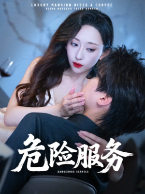 危险服务 (34集)