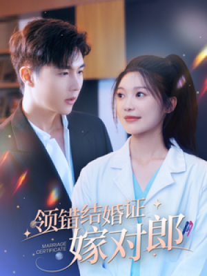 《领错结婚证嫁对郎》(100集)