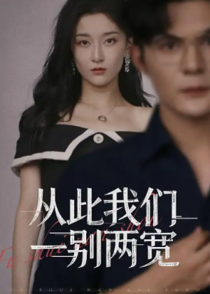 从此我们一别两宽 (60集)