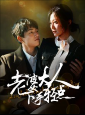 老婆大人下手轻点（30集）