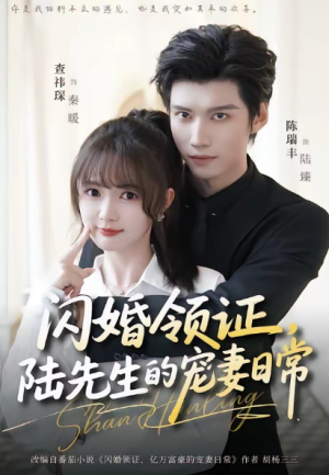 闪婚领证陆先生的宠妻日常（86集）
