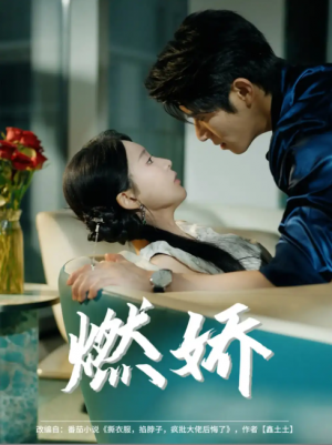 燃娇（81集）