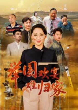 举国欢宴难归家(40集)