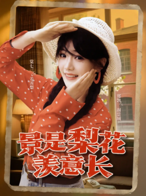 景是梨花羡意长(95集)