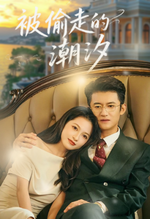被偷走的潮汐（60集）