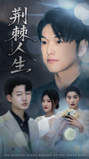 荆棘人生（74集）
