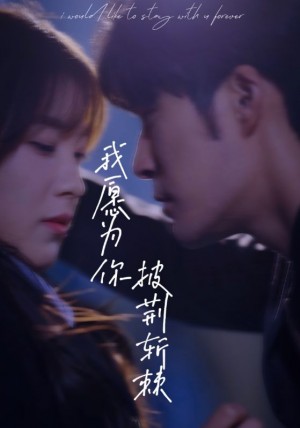 《我愿为你披荆斩棘》(88集)