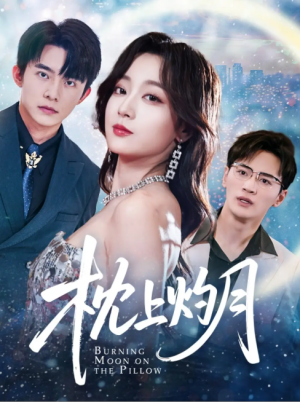 枕上灼月（52集）