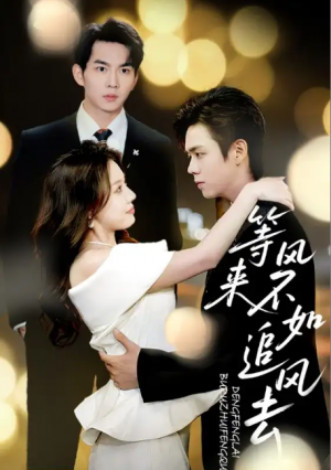 等风来不如追风去（72集）