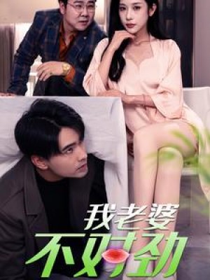 我老婆不对劲（34集）