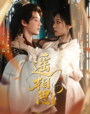 遥相思(117集)