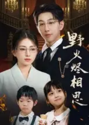 野火烬相思(61集)