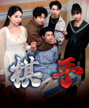 棋手(15集)