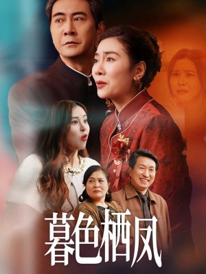 暮色栖凤（35集）