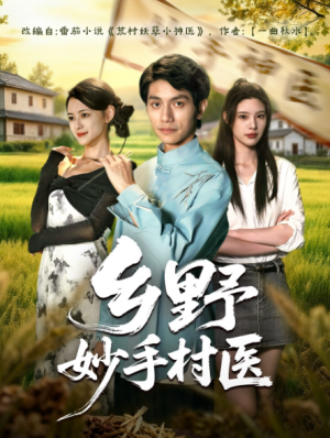 乡野妙手村医（60集）
