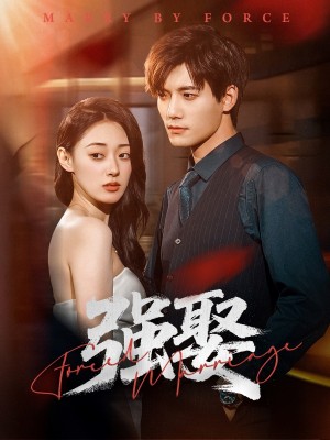 强娶（80集）