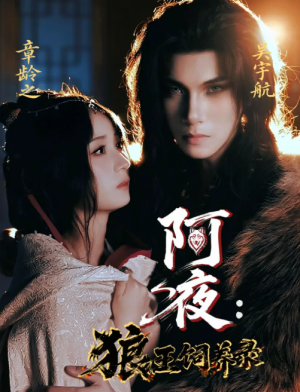 阿夜狼王饲养录（67集）