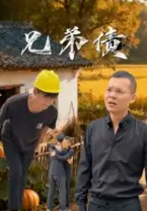 兄弟债(18集)