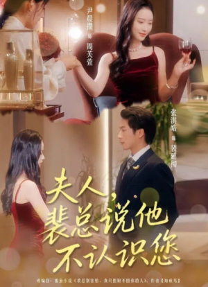夫人裴总说他不认识您（75集）