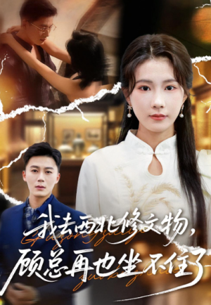 我去西北修文物顾总再也坐不住了（46集）