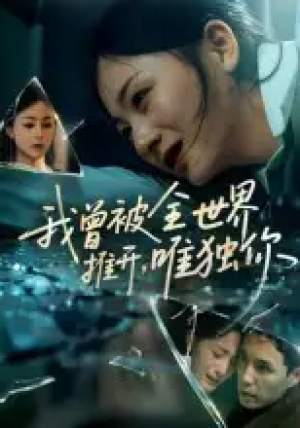我曾被全世界推开,唯独你&我曾被全世界推开唯独你(65集)