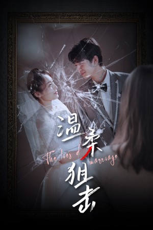 《温柔狙击(婚姻迷雾)婚姻的谎言》(81集)