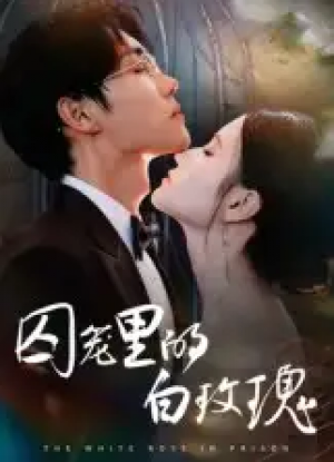 囚笼里的白玫瑰(59集)