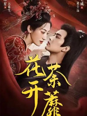 花开荼蘼(88集)
