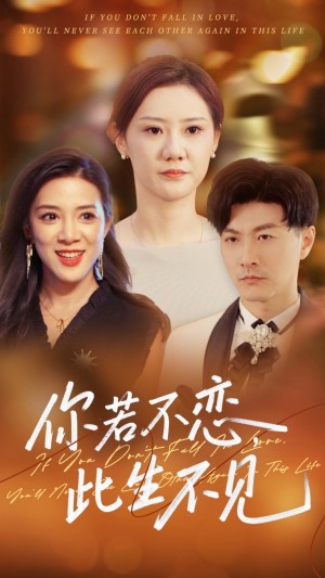 你若不恋此生不见（70集）