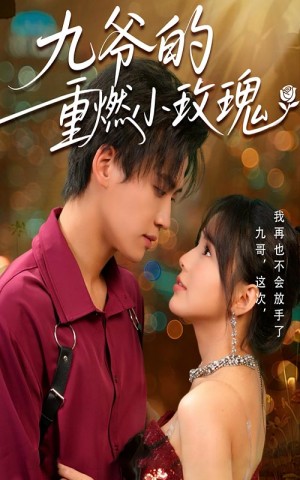 九爷的重燃小玫瑰（67集）