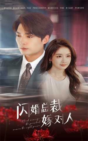 《闪婚总裁嫁对人》(30集)