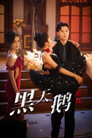 黑天鹅游戏（60集）