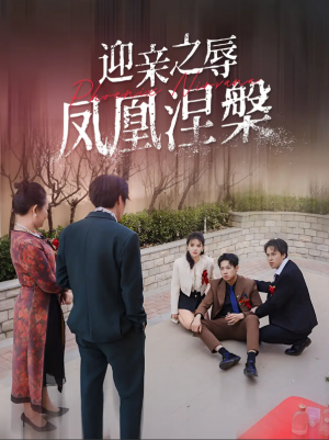 迎亲之辱凤凰涅槃（34集）