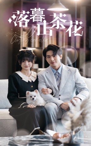 落幕山茶花（50集）