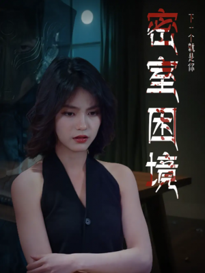 密室困境(30集)