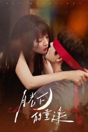 月光下的重逢（54集）